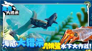 异象回声wiki不全，如何补充和扩展相关知识点，打造更完整的资料库