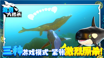 万国觉醒怎样迁城？全面解析迁城攻略及其对游戏发展的深远影响